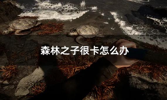 森林总是卡掉