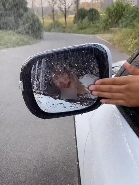 看不清