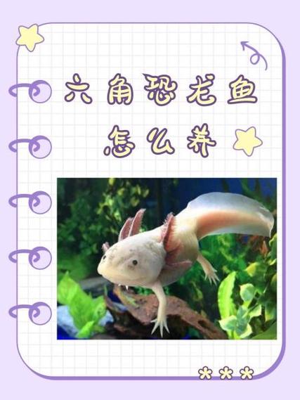 养恐龙真的可以赚钱吗