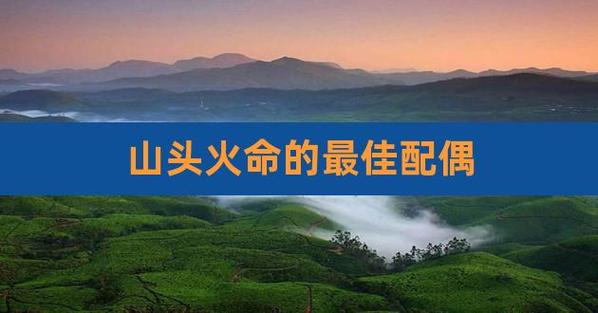 1995年山头火命运