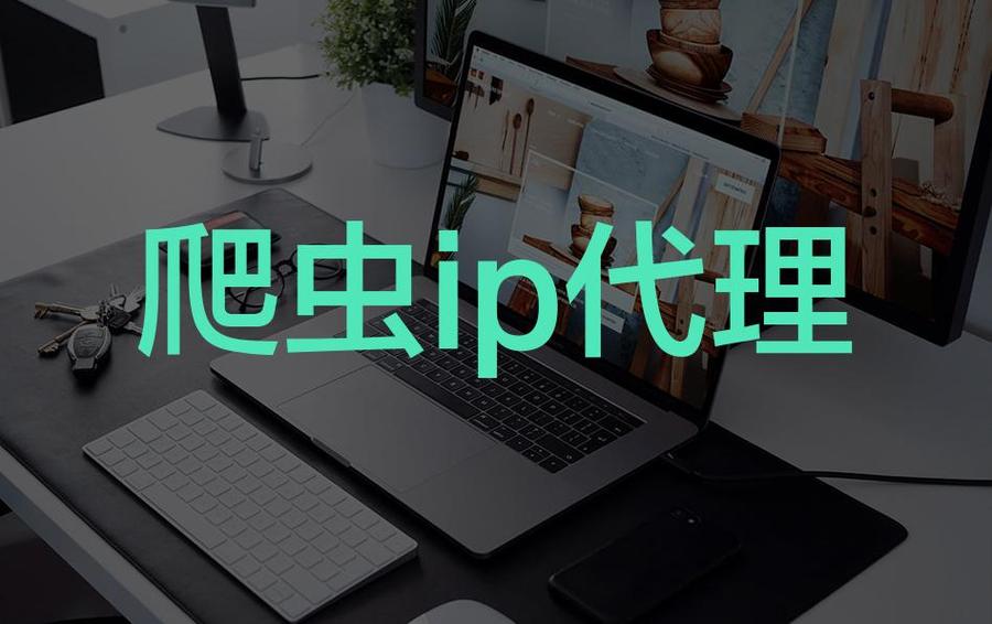 国内代理ip购买