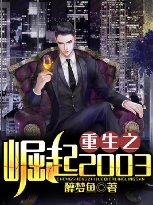 重生崛起2003缩略图