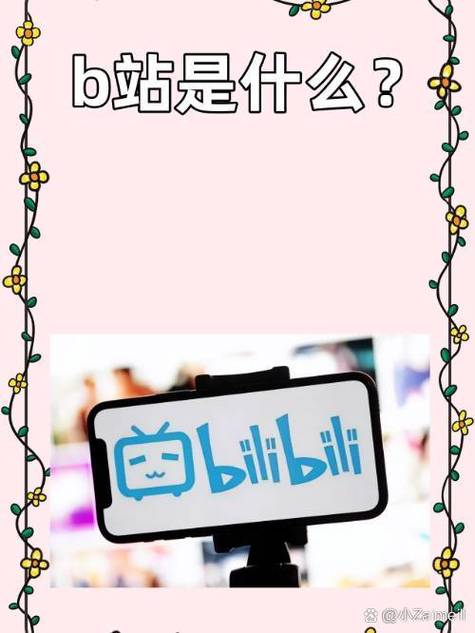 哔哩哔哩中文截图