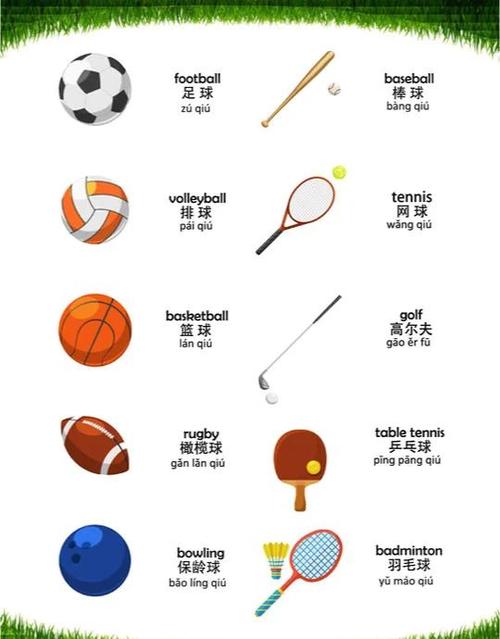 运动器材名称大全缩略图