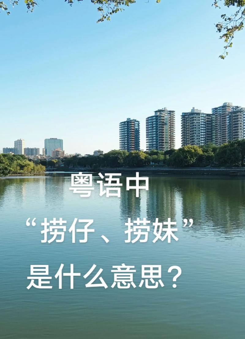 捞仔暗示什么