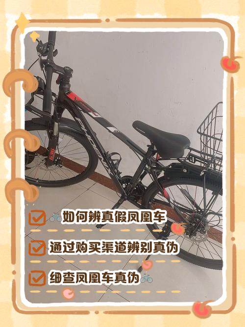 凤凰自行车真假怎样区别游戏截图