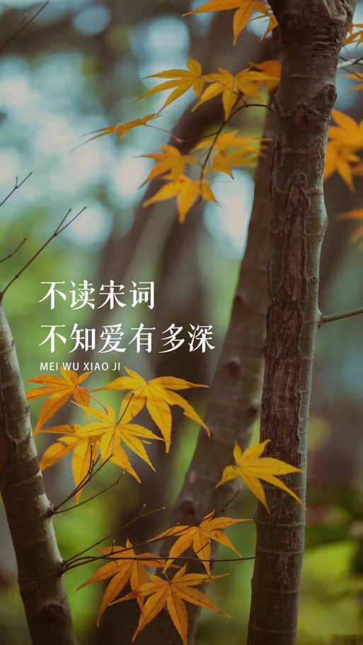 爱的诗歌 赞美诗缩略图