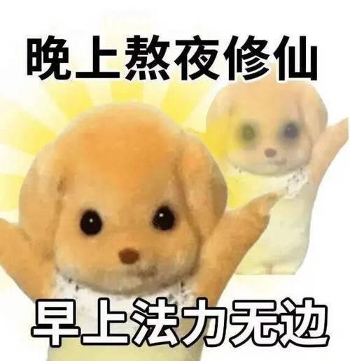 仙女熬夜法力无边表情包