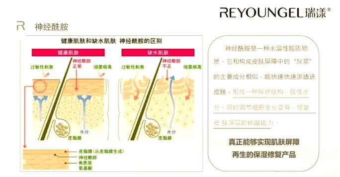 仓库里的皮肤能够送人吗