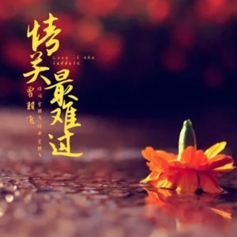 人最难过的就是情关截图