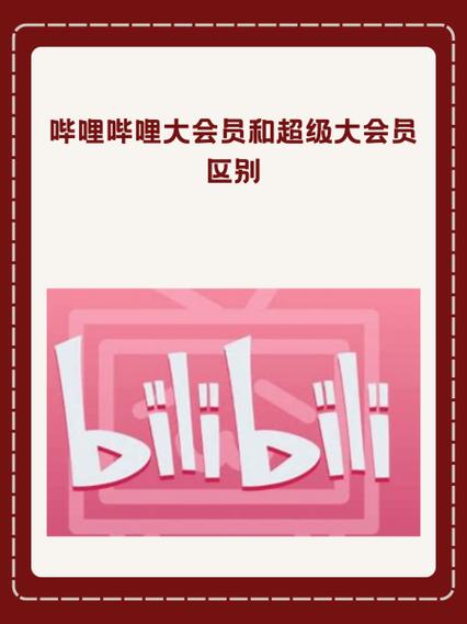 哔哩哔哩大会员可以加速升级吗