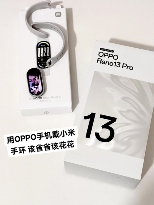 小米手环适配oppo手机吗游戏截图
