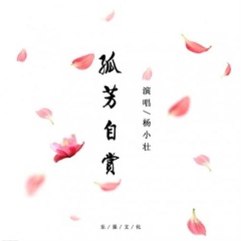 孤芳自赏杨小壮原唱