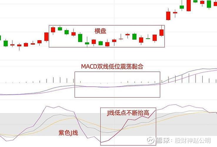 macd调成什么参数最好用