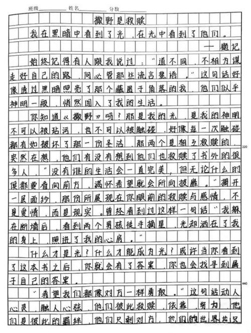 撒野作文《救赎》