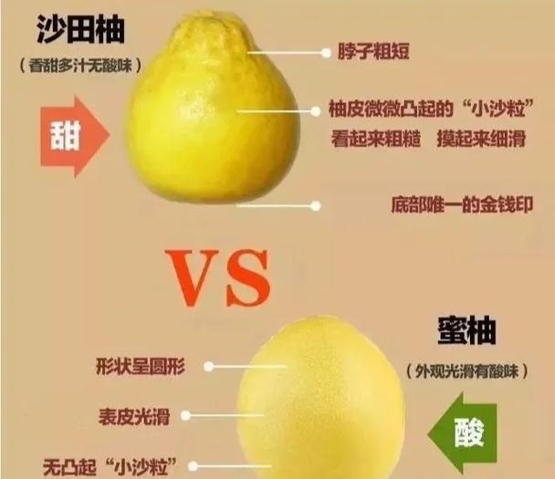 金柚和红柚哪个好