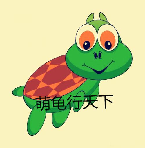 乌龟图片
