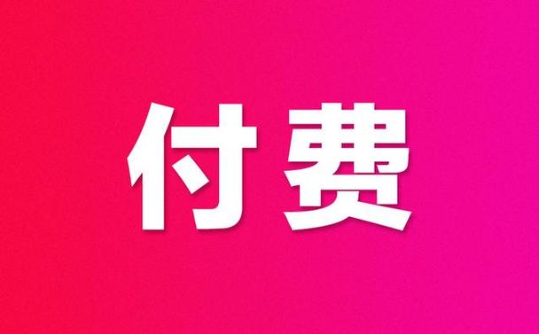 收付费