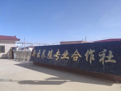 养牛场取名500个截图