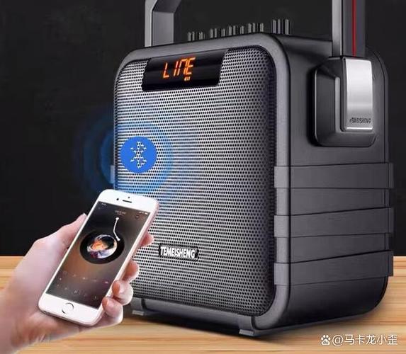特美声音响u盘播放不了截图