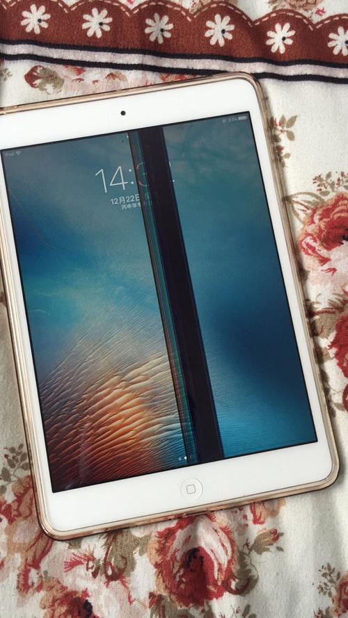 ipad2内屏坏了截图