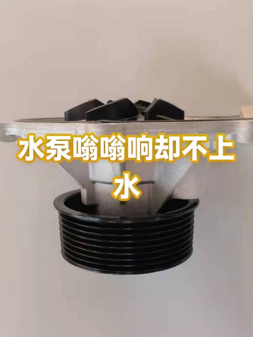 水泵有电嗡嗡响不上水