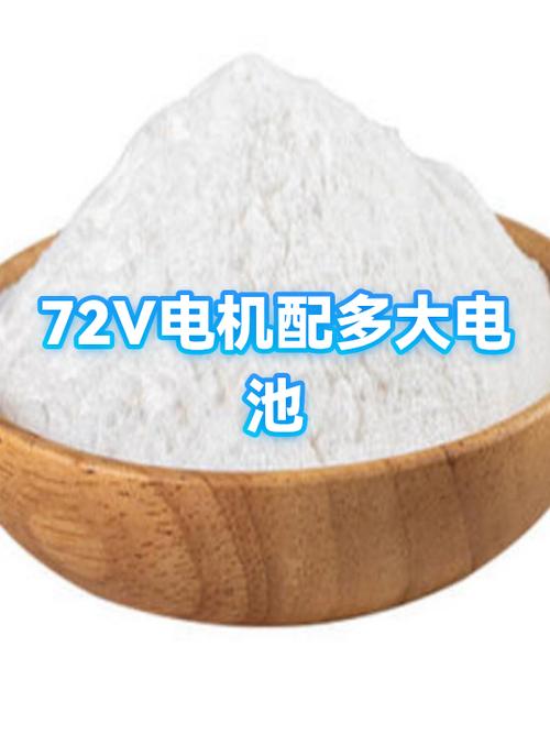 72伏电瓶配多大电机游戏截图