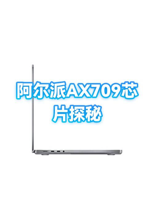 阿尔派AX709区域激活破解