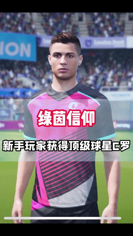足球娱乐之绿茵巨星 笔趣阁截图