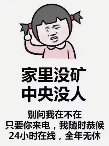 家里没矿中央没人的搞笑句子