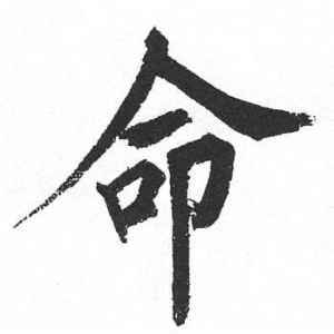 怎么看命盘