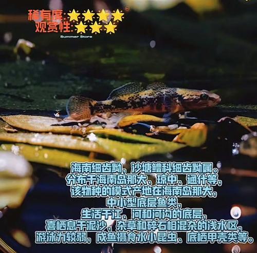 闲鱼可以隐藏评价吗