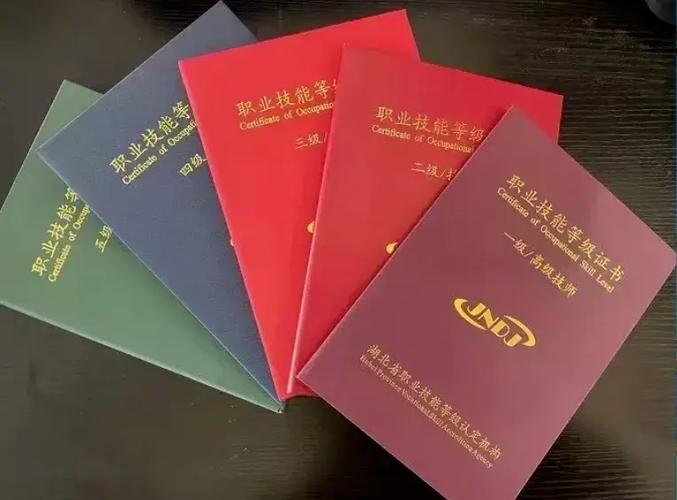 职业技能等级证书补贴截图