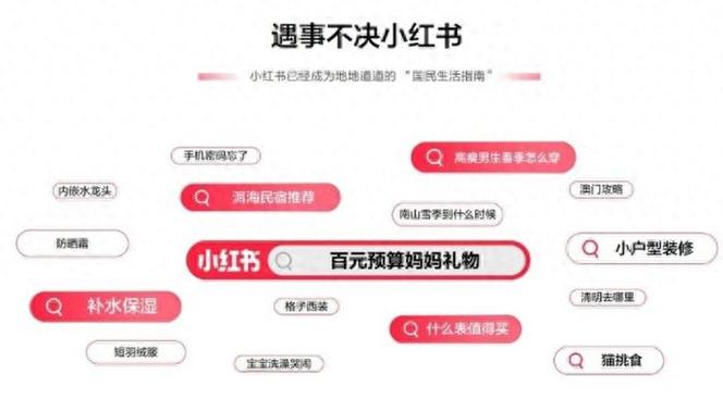 搜索小红书图标