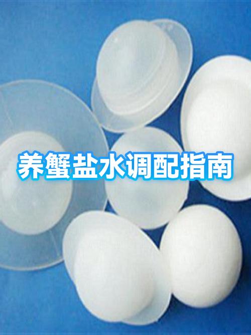 鱼缸怎么养螃蟹游戏截图