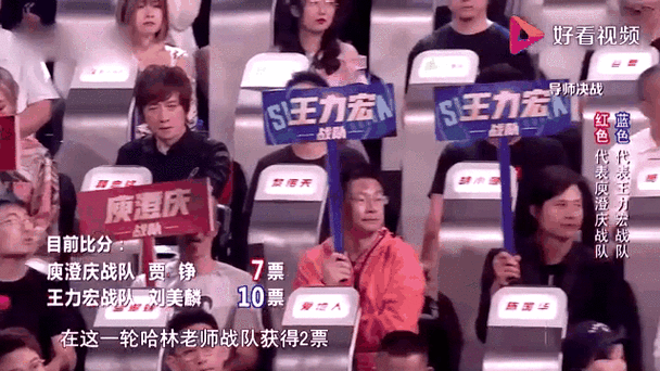 中国好声音投票方式