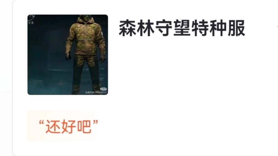 暗区突围手册皮肤截图