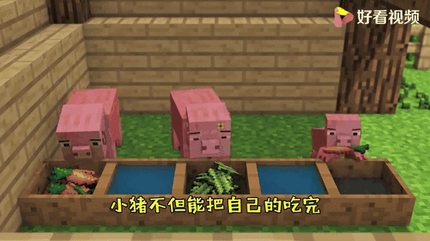 猪猪世界游戏4399缩略图