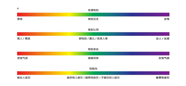 金赛性取向量表测试