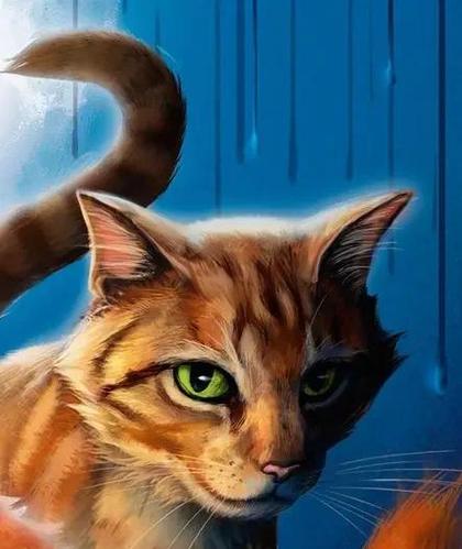 猫武士时间线