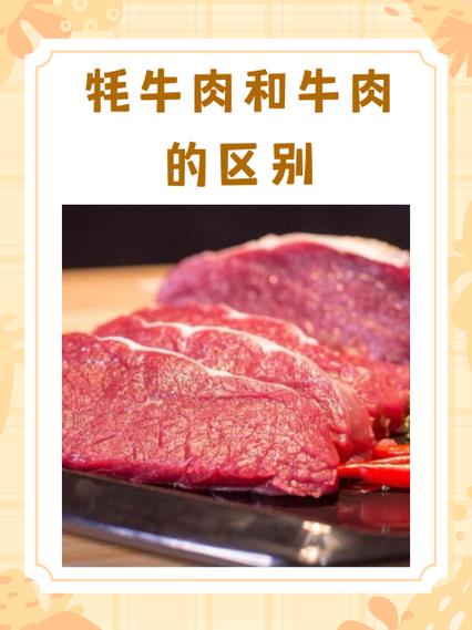 牦牛肉与普通牛肉的区别