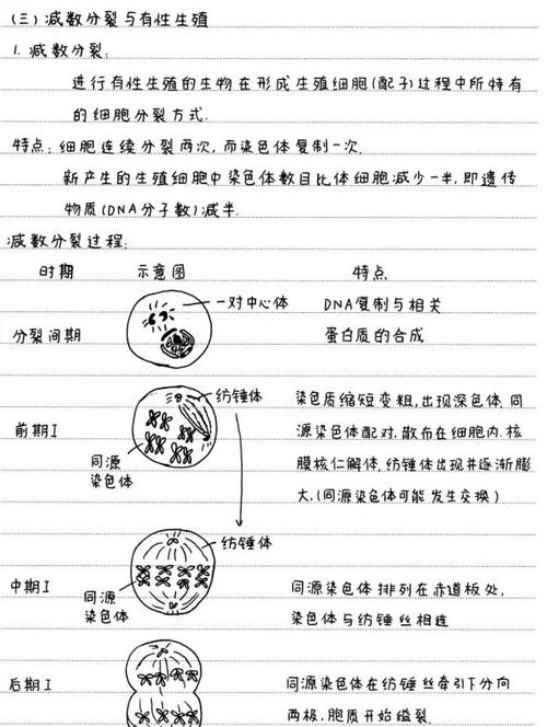 mc中的生物刷新机制