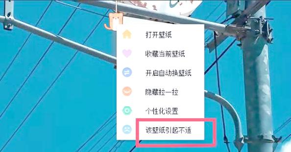 小鸟壁纸是什么软件,可以卸载吗