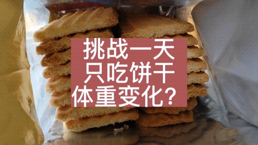 挑战一天只吃饼干