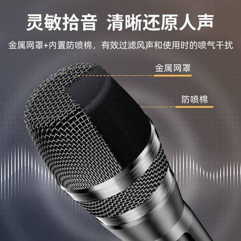 先科麦克风