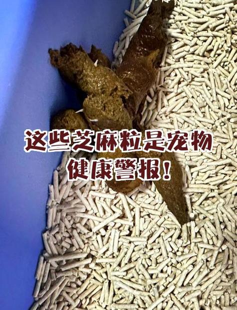 芝麻粒有什么用