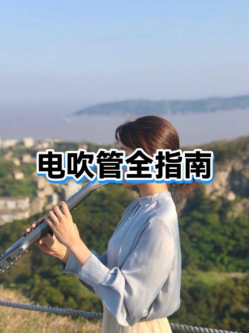 电吹管的价格