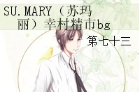 苏玛丽的作品小说