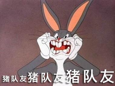 猪队友一般形容什么人