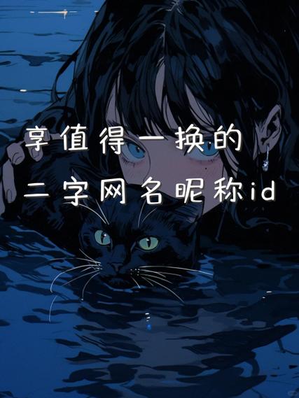 双字id没人用过的